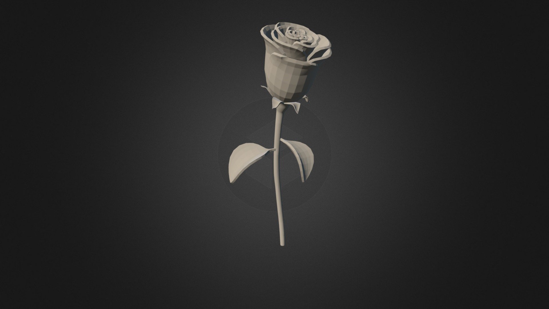 Rose Pp4