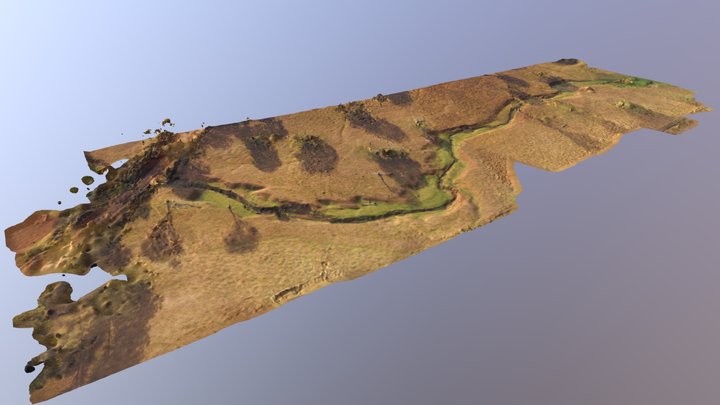 Creek Habitat 3D Model