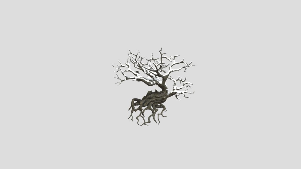 Snowy Tree