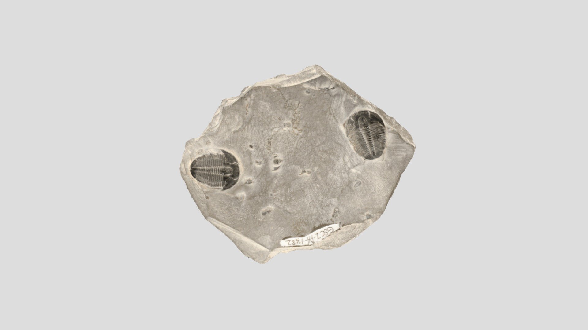 GSCI-PA-1382
