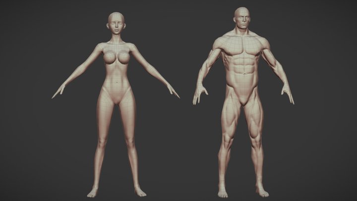 Male and Female Base Body Lowpoly 3D Model
