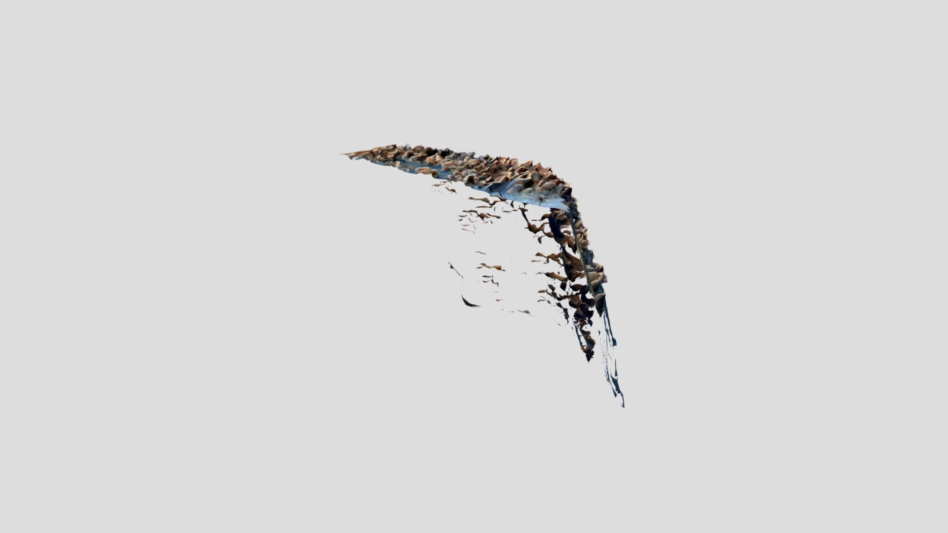 Mushroom scan stump
