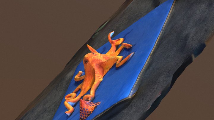 octopus 3D Model