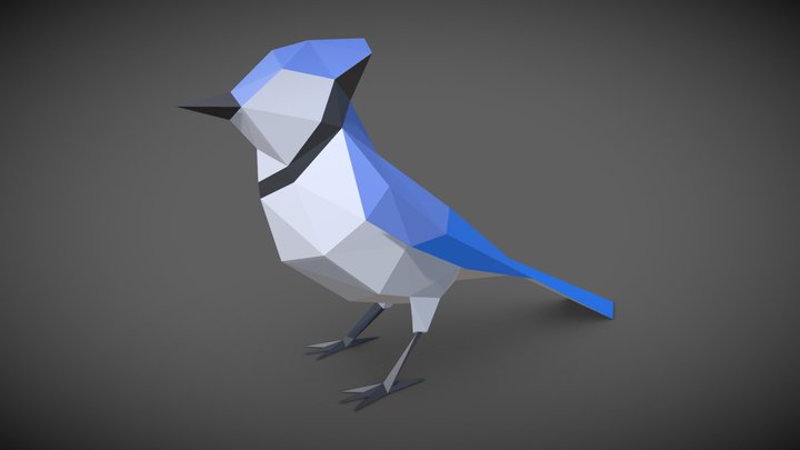 Bird - Blue Jay 3D Model