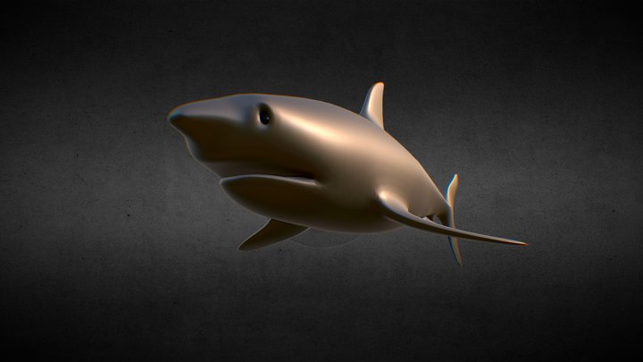 Silver Shark 3D Model