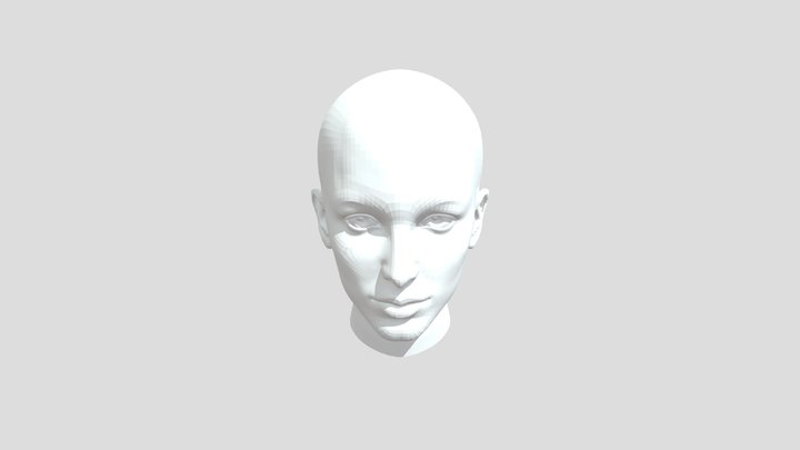 Head And Skkull 3D Model