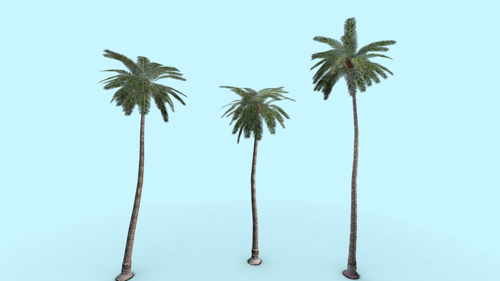 Palm Tree Pack LOWPOLY