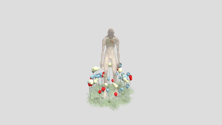 ANDRESBELLOANA 3D Model