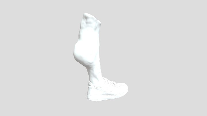 Shoe Leg 1 3D Model