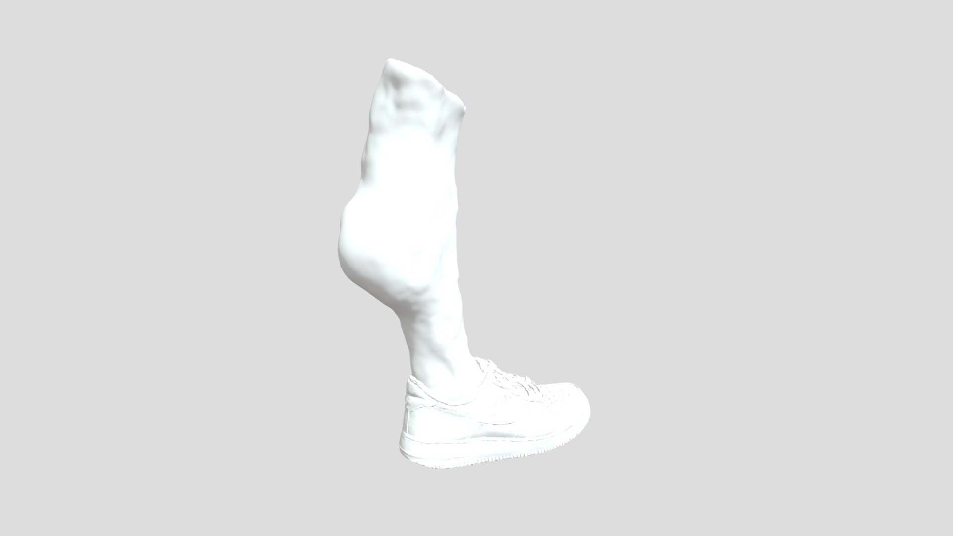 Shoe Leg 1