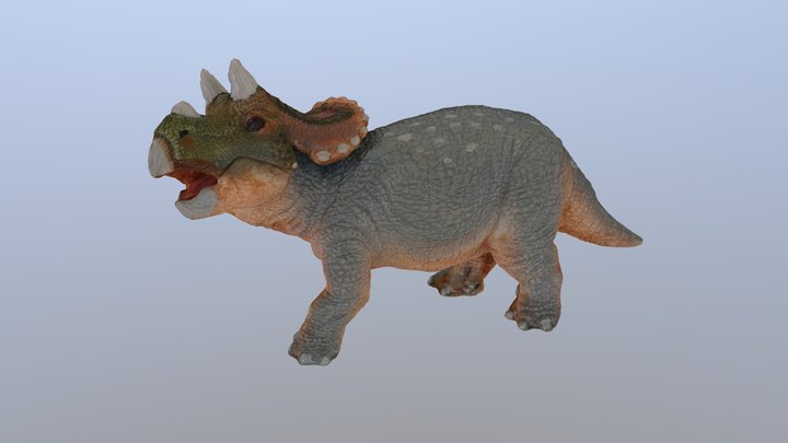 Baby Triceratops 3D Model