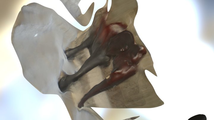 Elephant-FBX-30K 3D Model