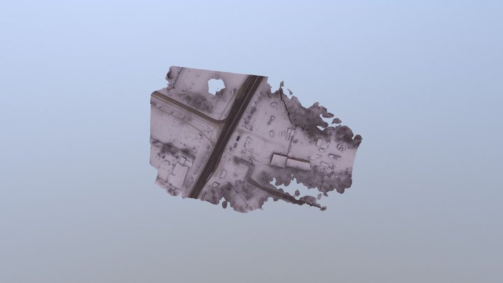 Perm_sneg_mesh 3D Model