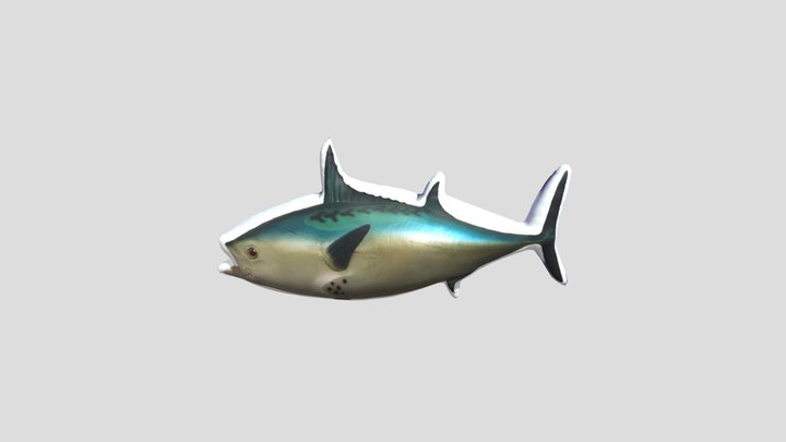 the fish from spongebob squarepants 3D Model