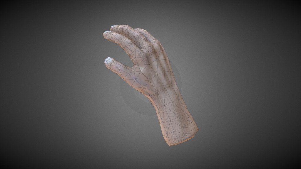 Hand Model