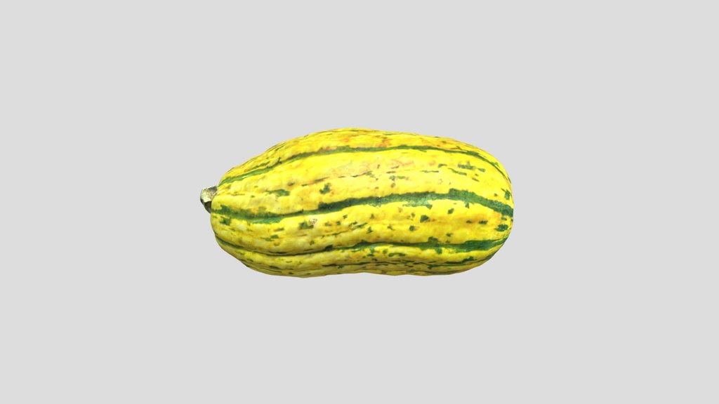 Pumpkin Delicata Squash