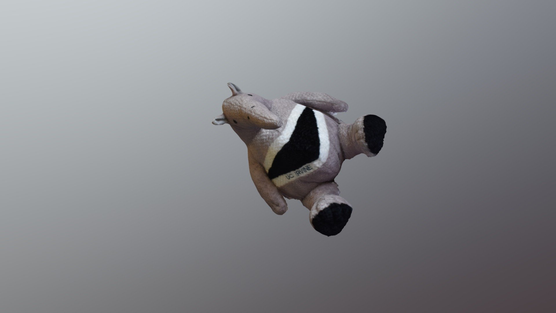 Anteater for Share