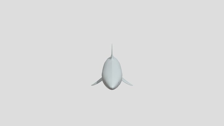Shark model for rigging 3D Model