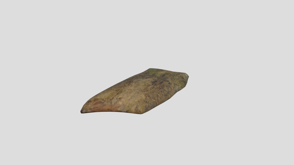 Tree Bark Debris
