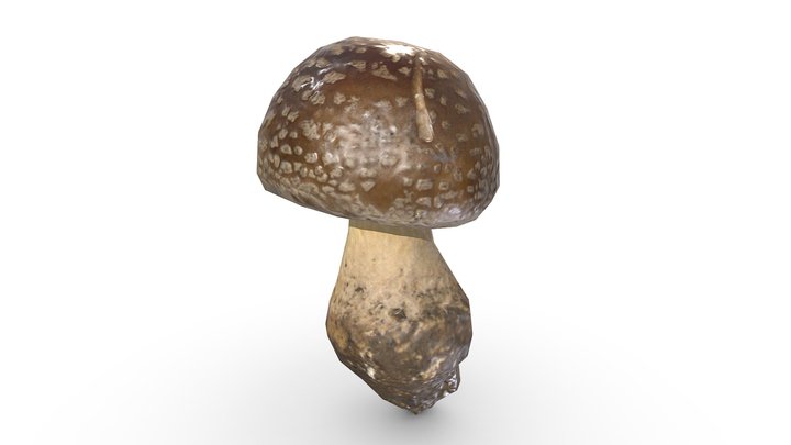 Mushroom (Game Ready / 2K PBR) – Gratis 3D-model STL