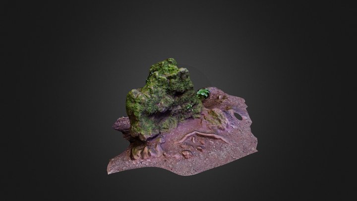 Mossy Rock in Puzzlewood 3D Model