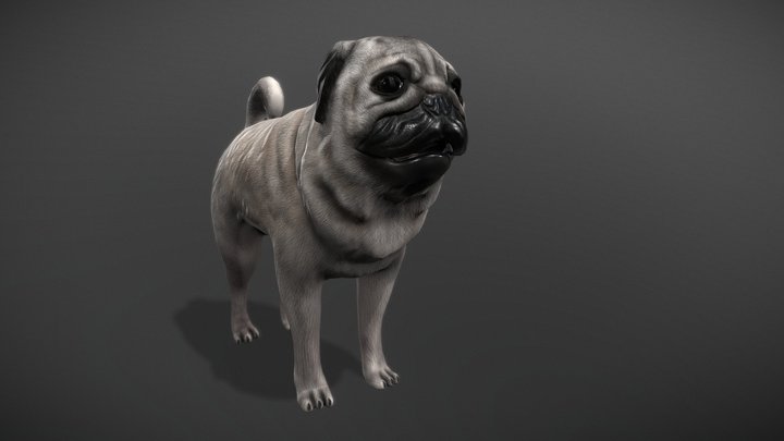 Мопс (Pug Downloadable) – Free 3D Model STL