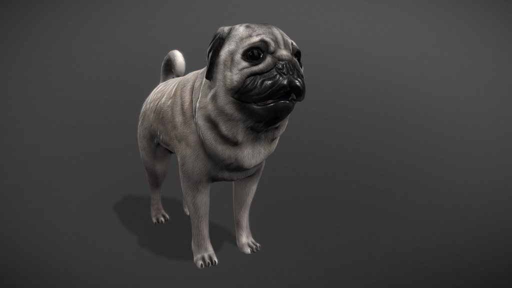 Мопс (Pug Downloadable)