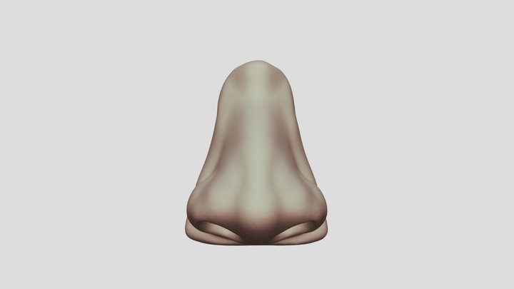 Nose