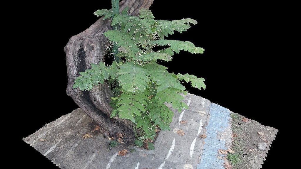 2017-05 - Santiago - Arbol 18 Points Cloud