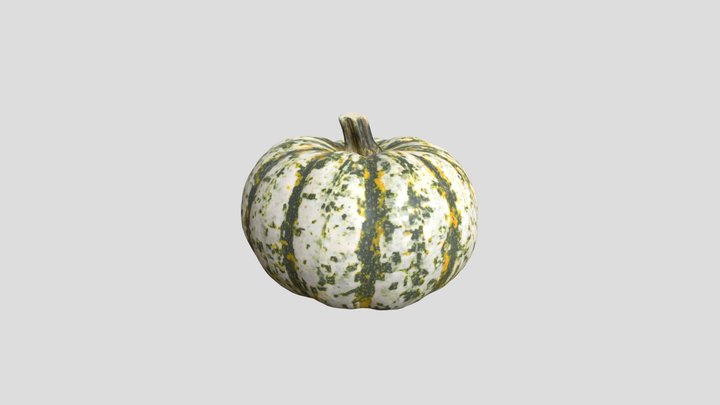 Pumpkin02_03 3D Model