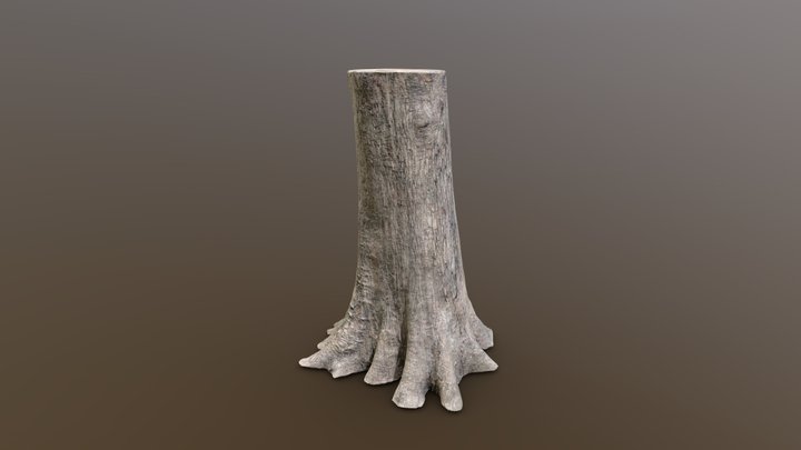 Bald Cypress Huge Root Flare – Modèle 3D gratuit STL