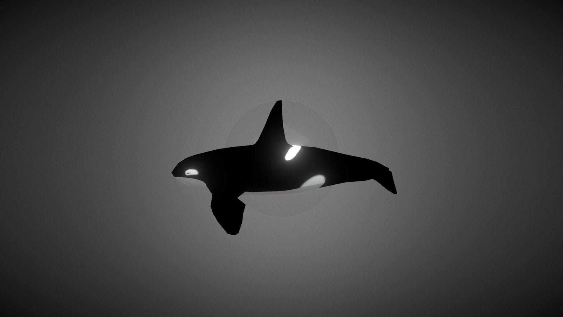 Whale