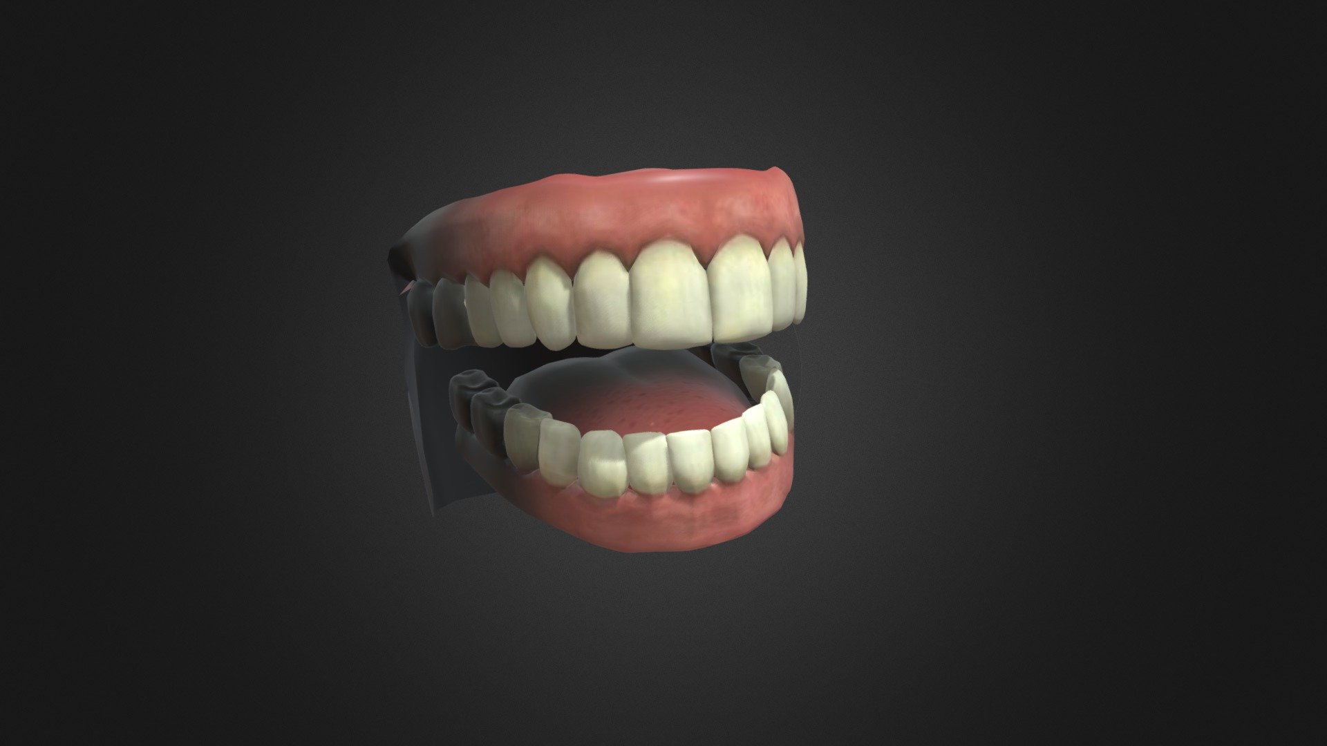 Jaw Download Free 3D model by 3DDomino (3DDomino