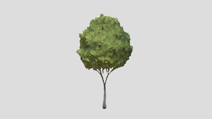 Realistic Game Tree Unreal Engine (Free Model) 3D Model