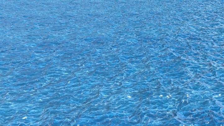 Ocean
