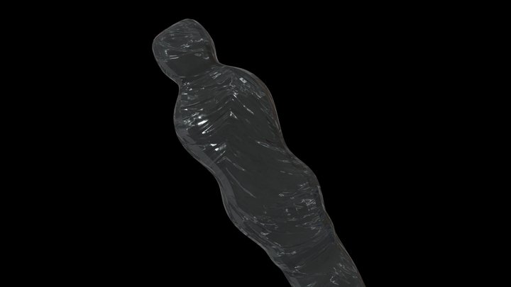 Corpse Wrapped in Black Plastic 3D Model