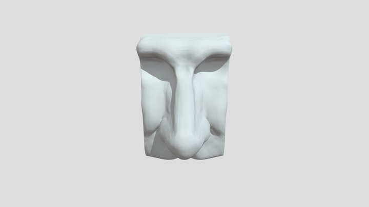 Final Nose Sculpt 3D Model