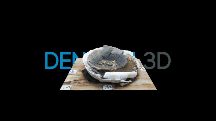 Schicht_14_Urn_Mikrograbung_BEF30 3D Model