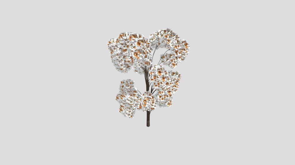 Yellow Flowered Light Green Leaved Tree
