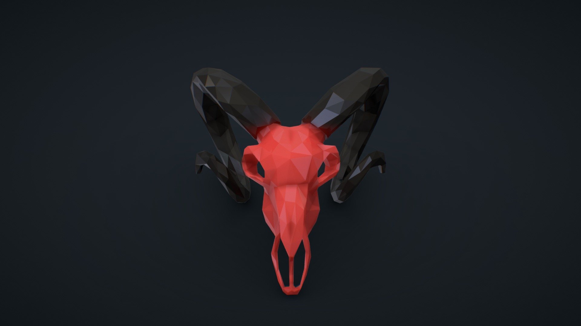 Skull of Goat