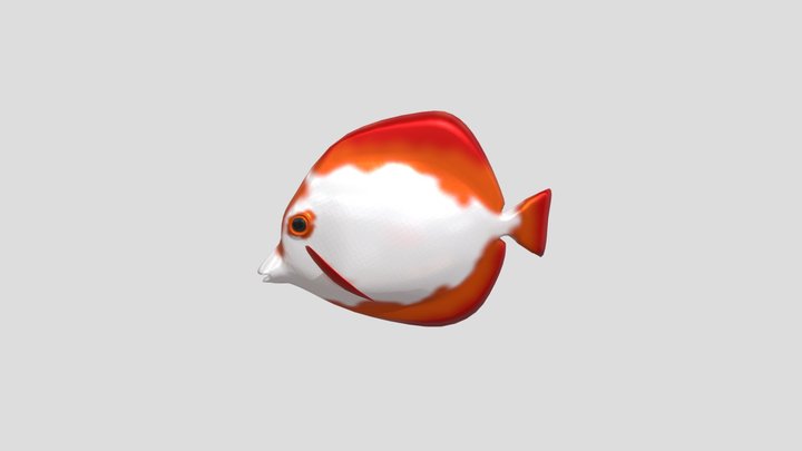 Fish 3D Model