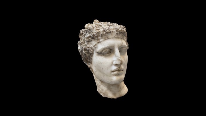 Marble head of an athlete 3D Model