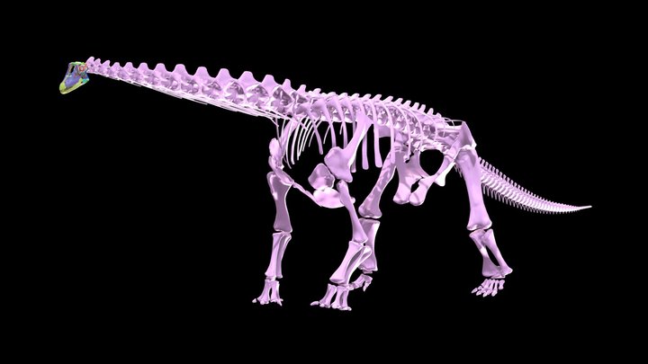 Diamantinasaurus 3D Reconstruction & Animation 3D Model