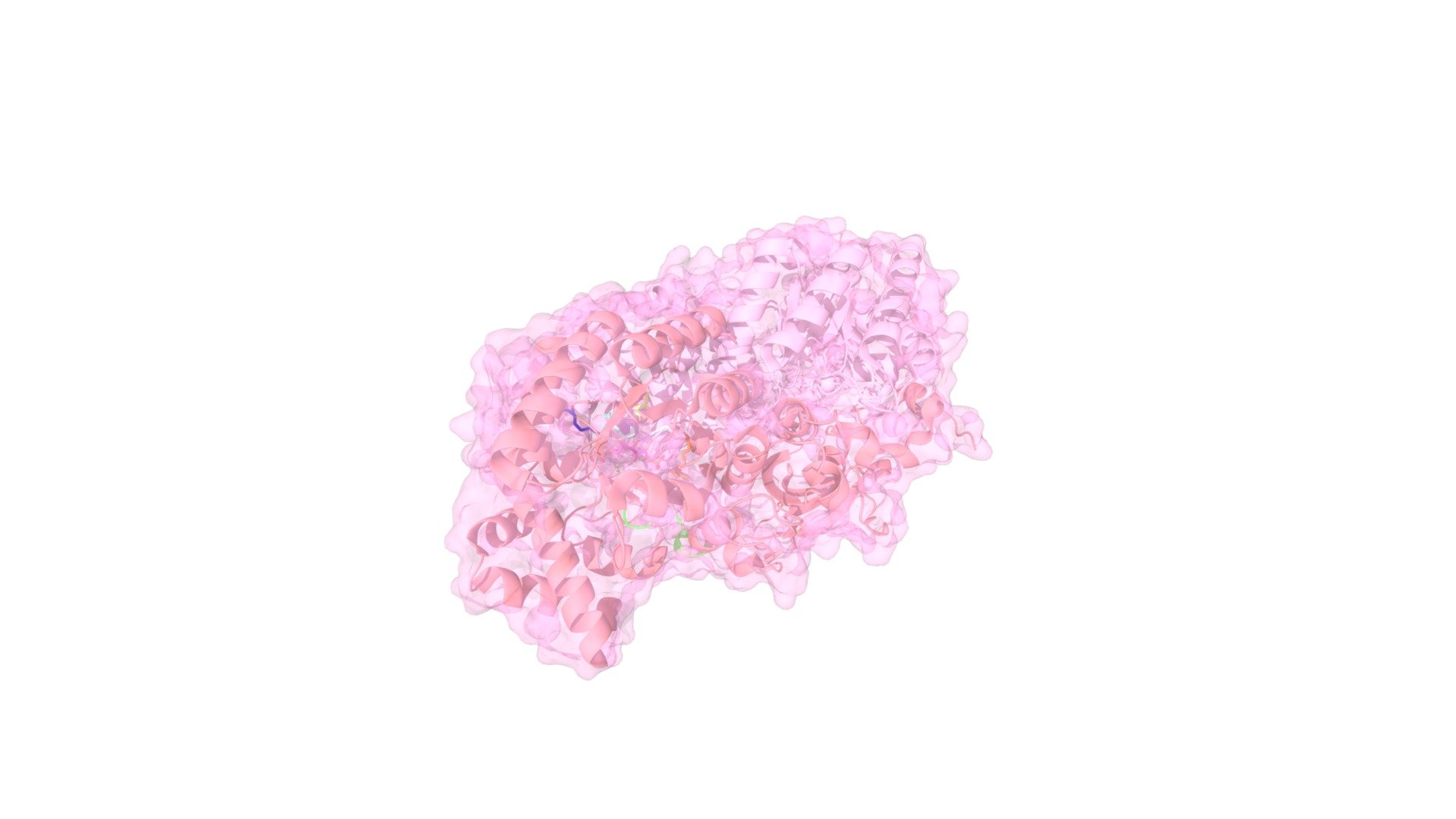 Life’s Little Fixer Upper: RuBisCO - BIOL244 - 3D model by hannahmcc ...