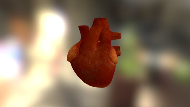 Heart 3D Model