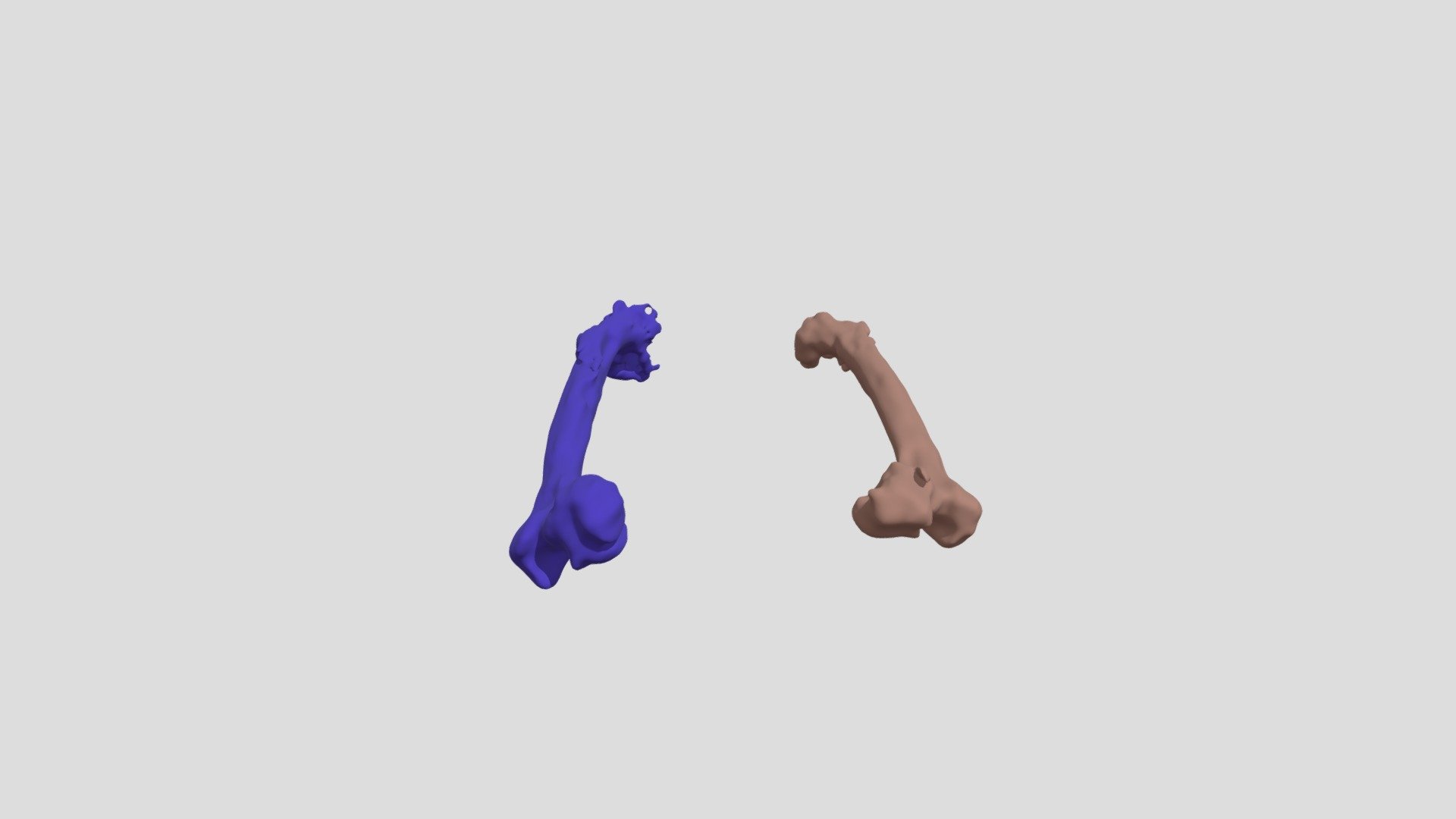 Femurs