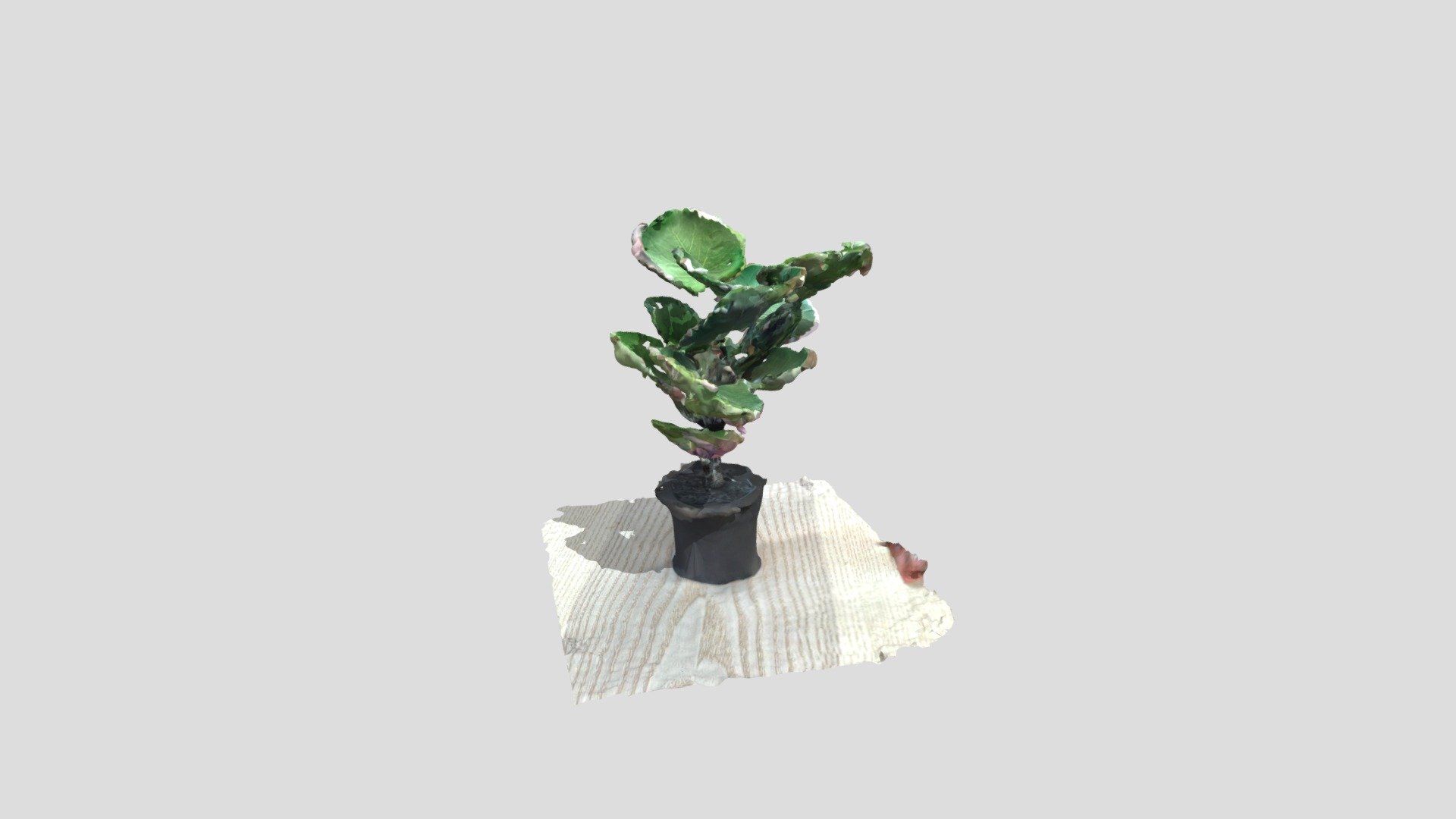 Fake plant Lidar mesh