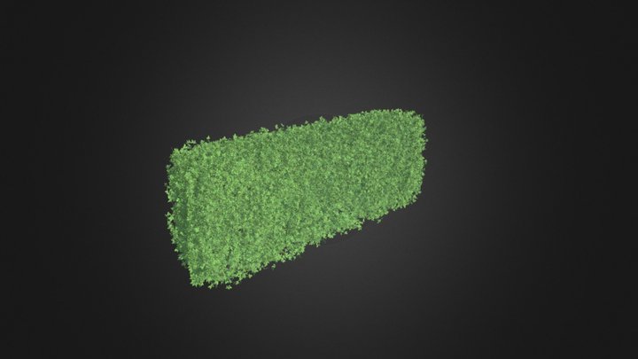 Straight Hedge 3D Model