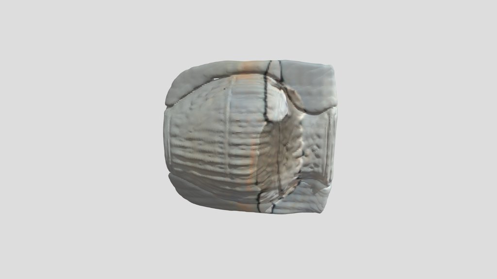 A Ceramic Vase, Product Design