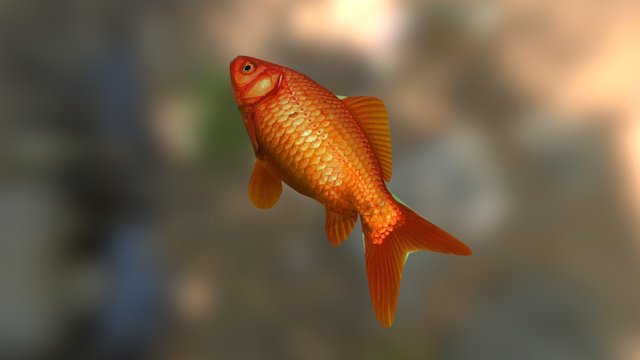 Peixe 3D Model